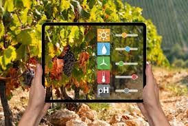 TIC – Innovazione digitale e sviluppo sostenibile di processi e/o prodotti aziendali