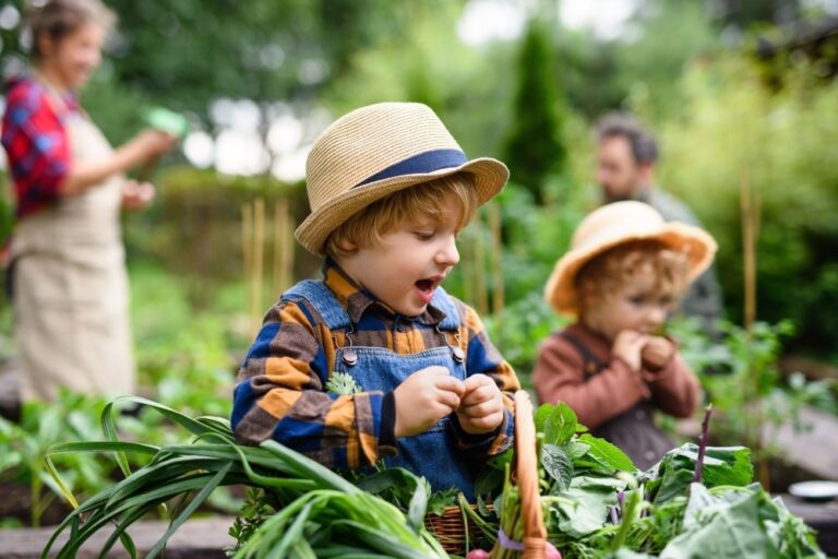 Aggiornamento per operatori di fattorie didattiche già riconosciute – Inclusività in fattoria