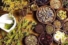 Laboratorio agro-erboristico. Allestimento e trasformazione delle piante officinali
