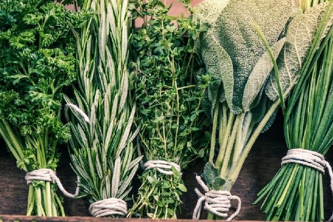 Etnobotanica: raccolta, trasformazione ed utilizzi delle piante officinali e alimurgiche