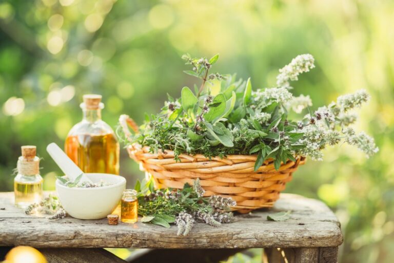 Coltivazione, trasformazione e commercializzazione delle piante officinali
