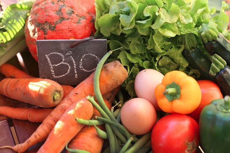 Approfondimenti normativi e tecnici sul metodo di produzione biologica