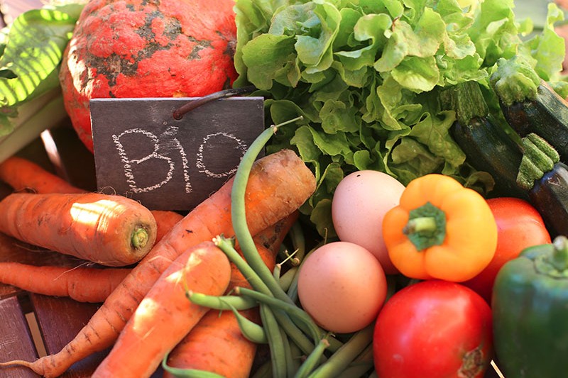 Approfondimenti normativi e tecnici sul metodo di produzione biologica