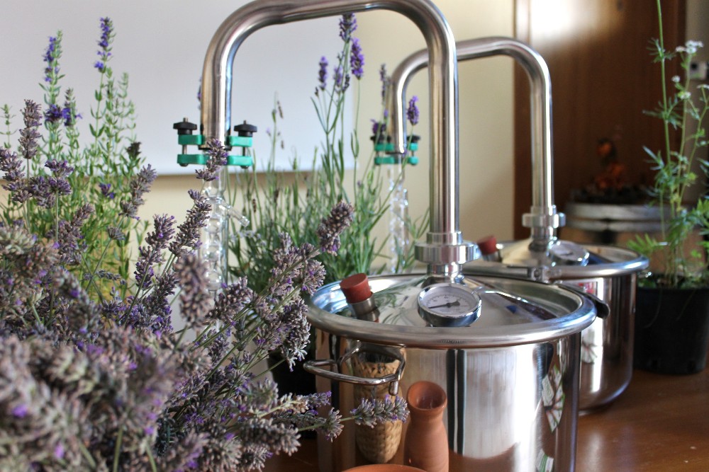 Distillazione delle piante officinali