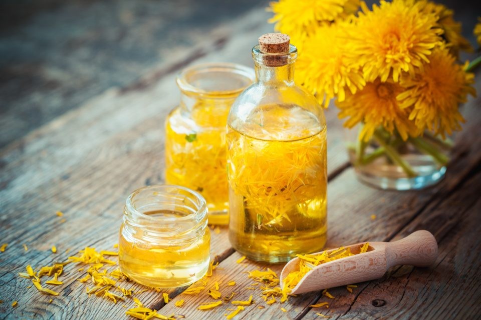 Laboratorio agro-erboristico Preparazione degli oleoliti