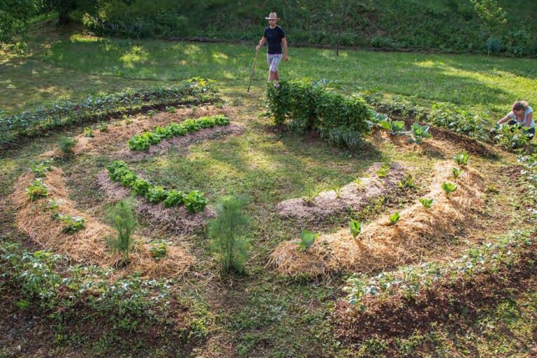 Introduzione alla permacoltura e all'agricoltura rigenerativa