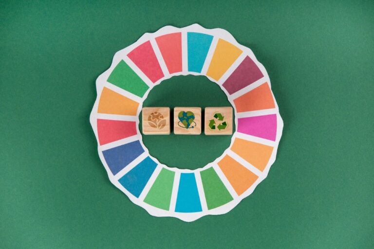 L'Agenda 2030 in azienda: strategie e metodologie per l'integrazione degli obiettivi di sviluppo sostenibile