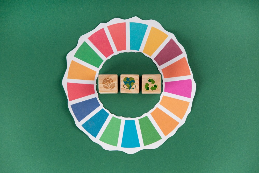 L'Agenda 2030 in azienda: strategie e metodologie per l'integrazione degli obiettivi di sviluppo sostenibile