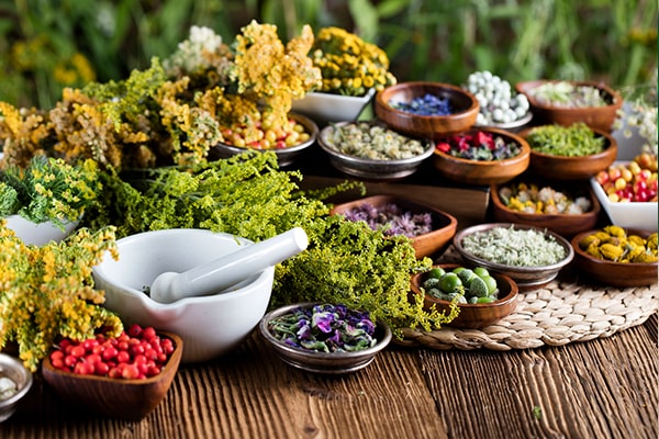 Piante officinali e alimurgiche