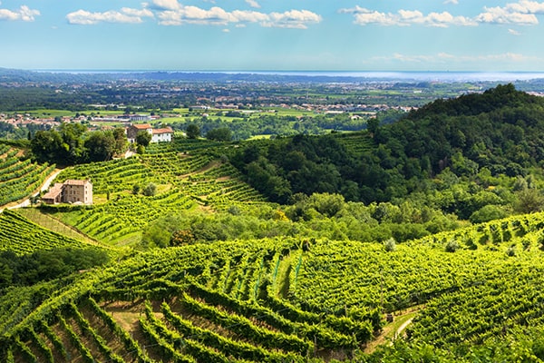 Territorio rurale, ambiente e turismo